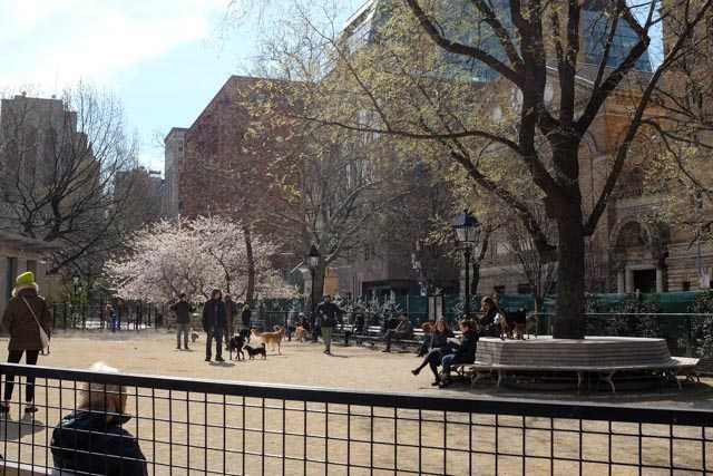 A dogs-and-owners only area in Washington Square Park - wish we have this in Singapore!