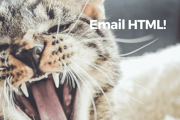 i hate email html banner with a cat with mouth open wide looking unhappy