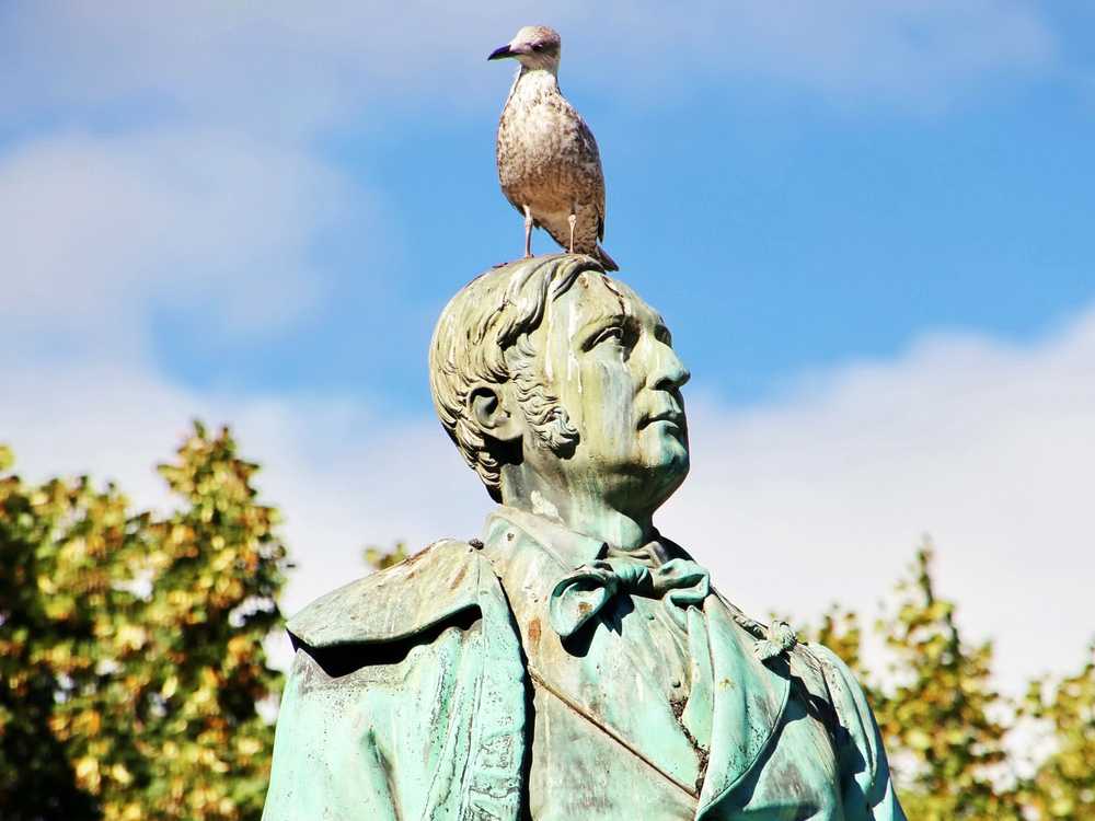 image of a bird standing on a statue full of poop