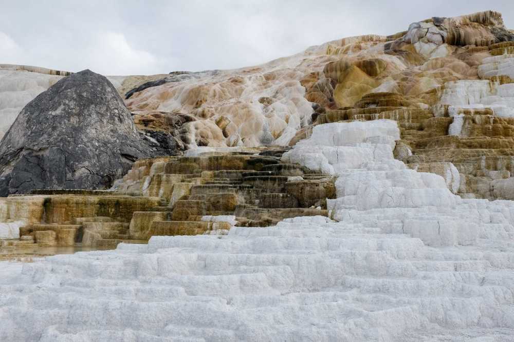 One of the surreal landscapes in Mammoth Hot Springs, Yellowstone