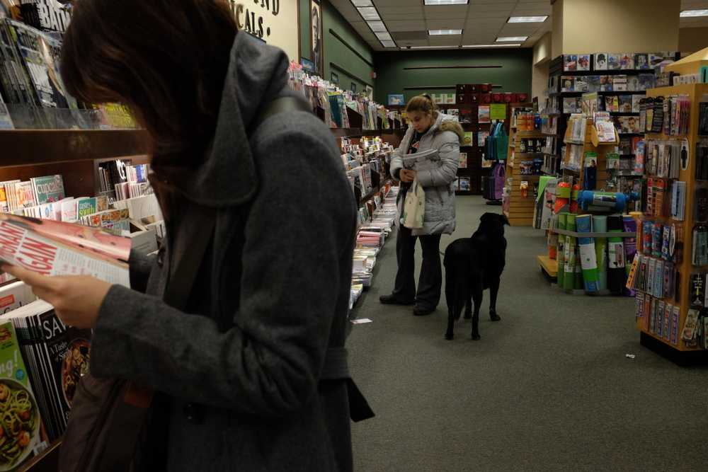 The dog has entered Barnes and Noble - this should be a problem, except it isn't and shouldn't!