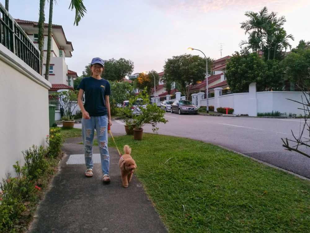 walking the dog