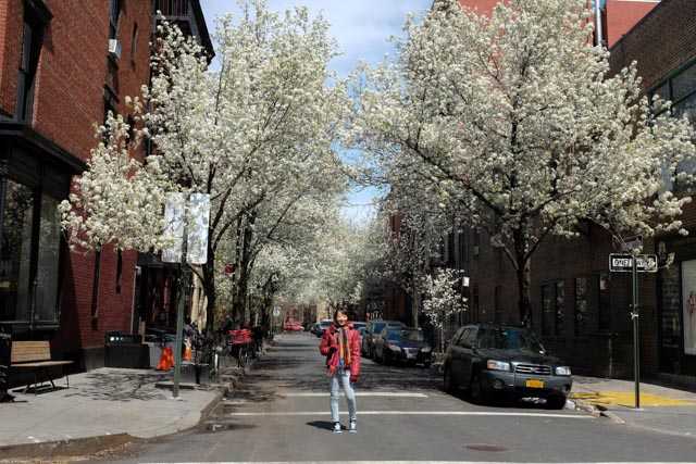 spring in NYC